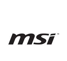 MSI